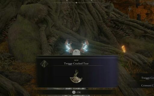 Delve into the lore of Elden Ring's Twiggy Cracked Tear, a mysterious item with hidden powers that can shape your destiny in the game.