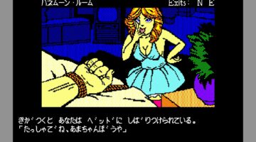 ポルノとピクセル: 最初のエロティック アドベンチャー ゲームが Sierra によって公開されました