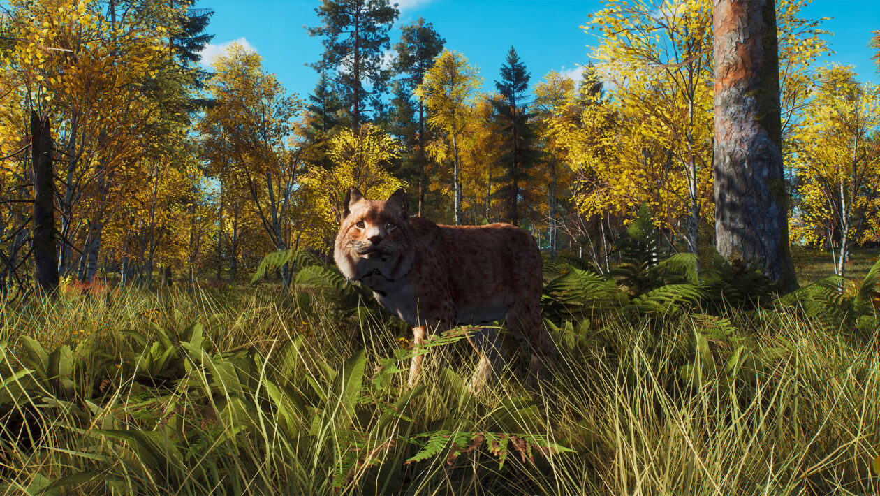 Way of the Hunter、THQ Nordic、Nine Rocks がスロバキアの狩猟シミュレーターの追加 DLC を発表