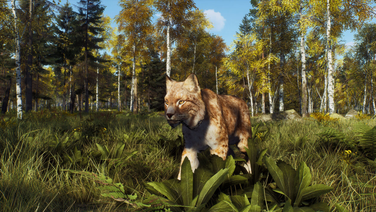 Way of the Hunter、THQ Nordic、Nine Rocks がスロバキアの狩猟シミュレーターの追加 DLC を発表