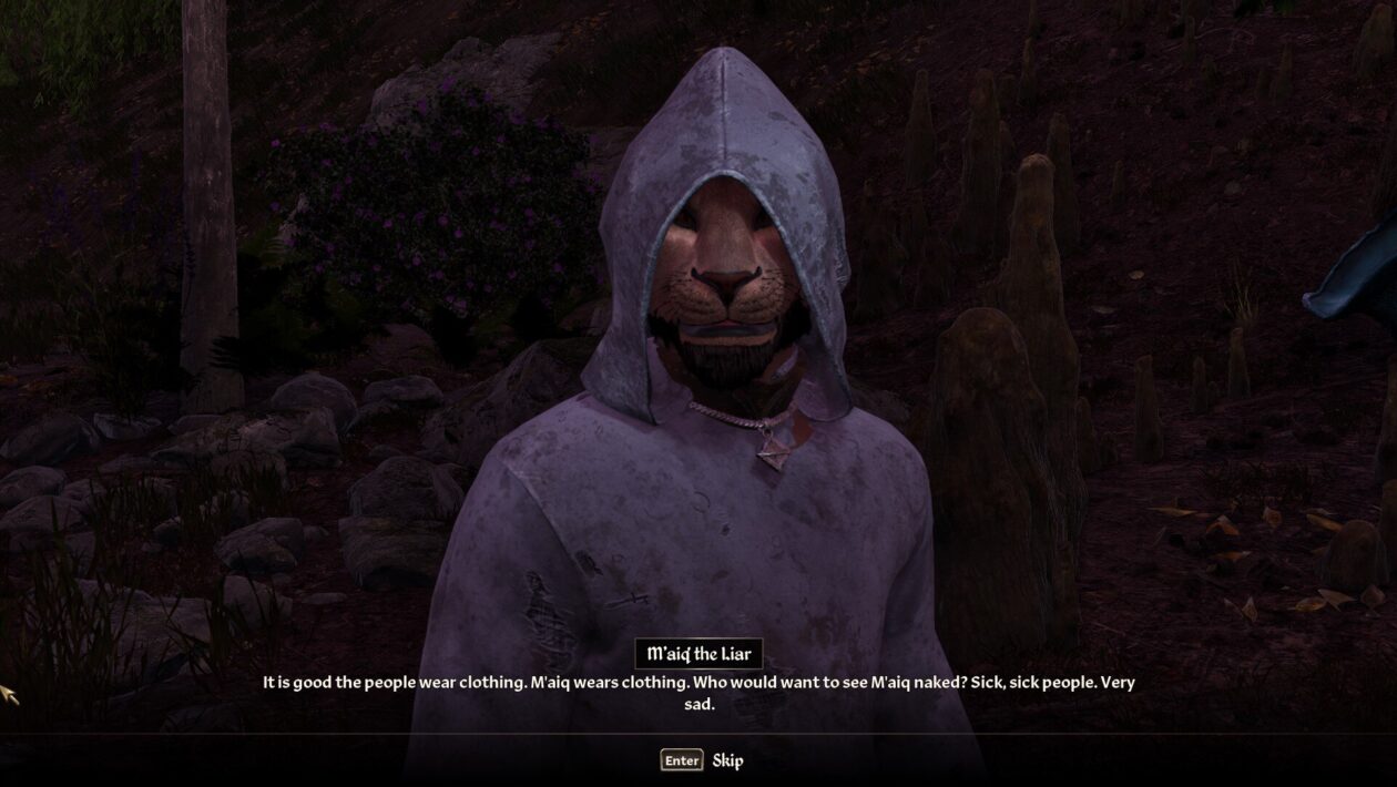Elder Scrolls IV：Oblivion Remastered、Bethesda Softworks、Recenze the Elder Scrolls IV：Oblivion Remastered