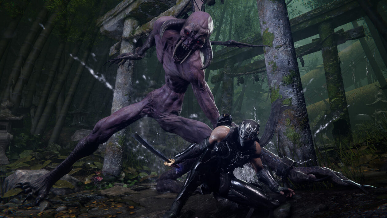 Ninja Gaiden 4、Xbox Game Studios、著者は、Ninja Gaiden 4がどれほど大きくなるかを明らかにしました